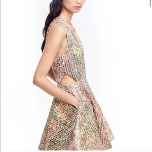 Alice + Olivia Varita Fit and Flare Metallic dress